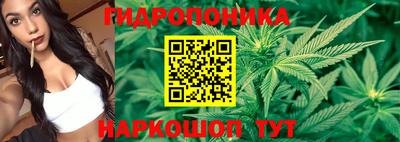 мескалин Гай