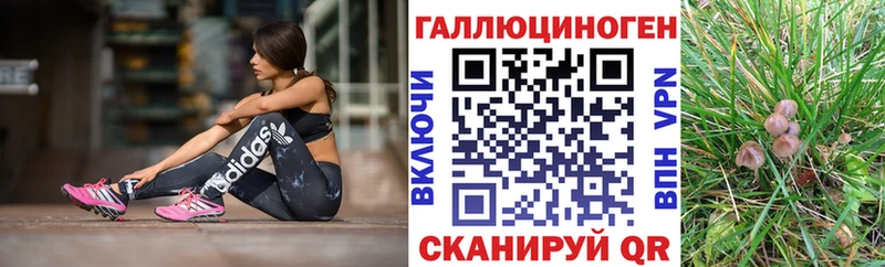 мега   Нижний Новгород  Псилоцибиновые грибы мухоморы 