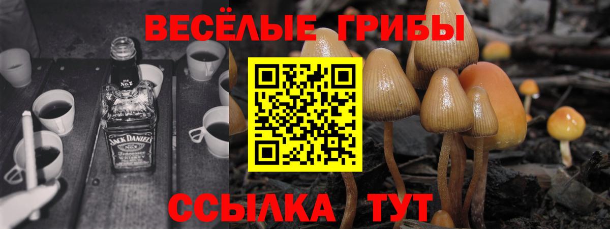 Нижний Новгород  Галлюциногенные грибы мицелий  Галлюциногенные грибы Psilocybe  Вход с VPN 