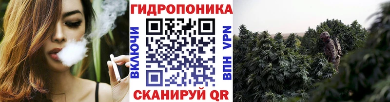 Канабис план Нижний Новгород